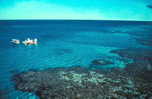 Great Barrier Reef in Australia