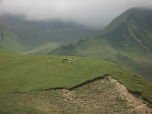 Azerbaijan