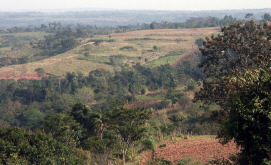 Paraguay