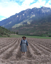 Peru